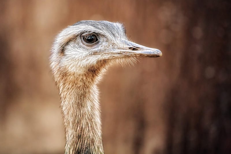 Rhea: Die wahre Mutter des Gottes Zeus – Mythos enthüllt 2026