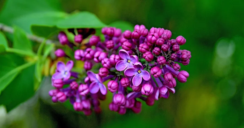 Was macht die Farbe Koralle eigentlich aus?