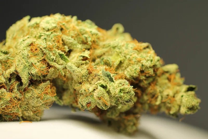Trichome: Das unsichtbare Wunder der Pflanzenwelt